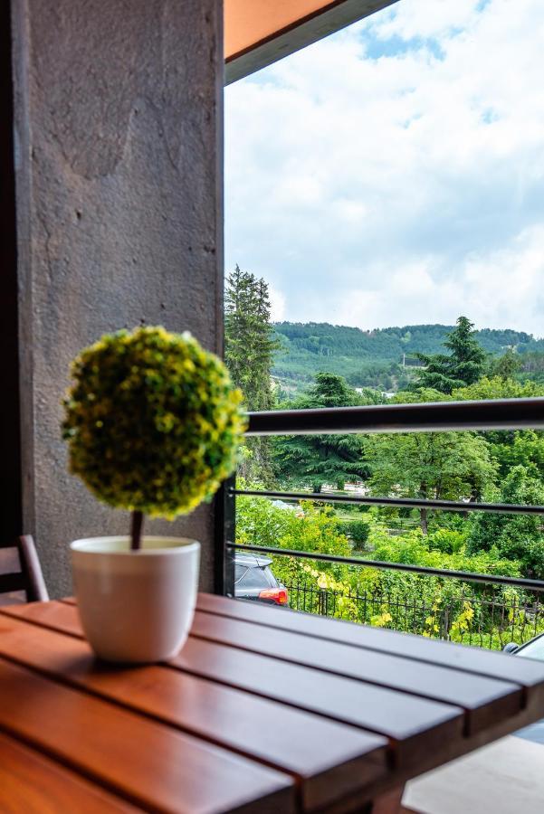 Park Apartment Emilin Σαντάνσκι Εξωτερικό φωτογραφία